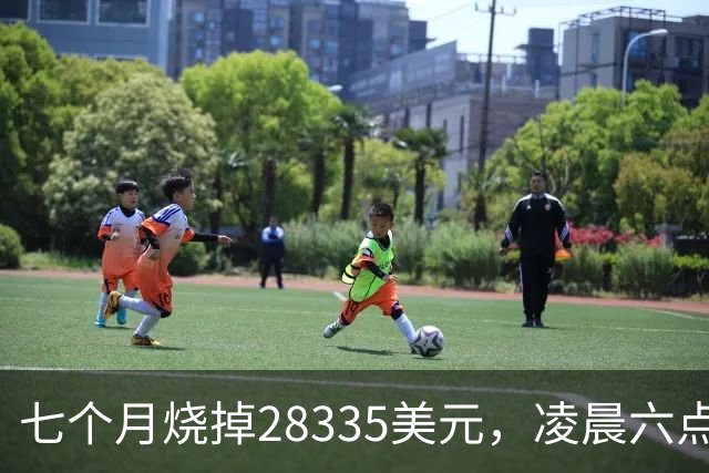 七个月烧掉28335美元，凌晨六点前的工具调用只有0.7%